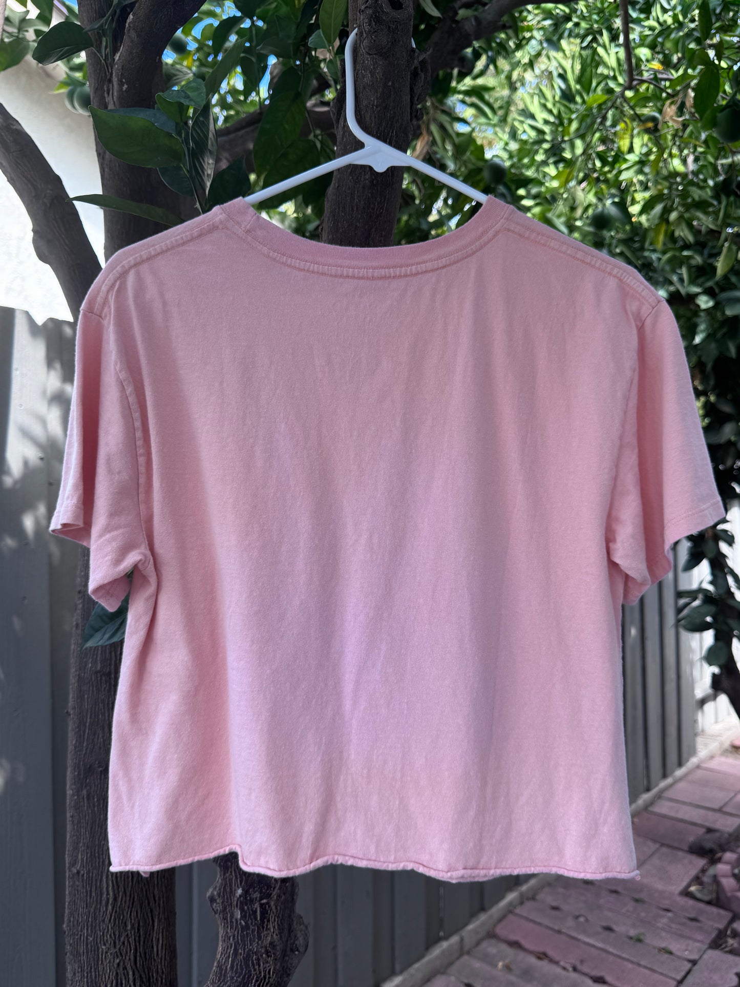 Disney Winnie the Pooh Pink Cropped Tee – Size M