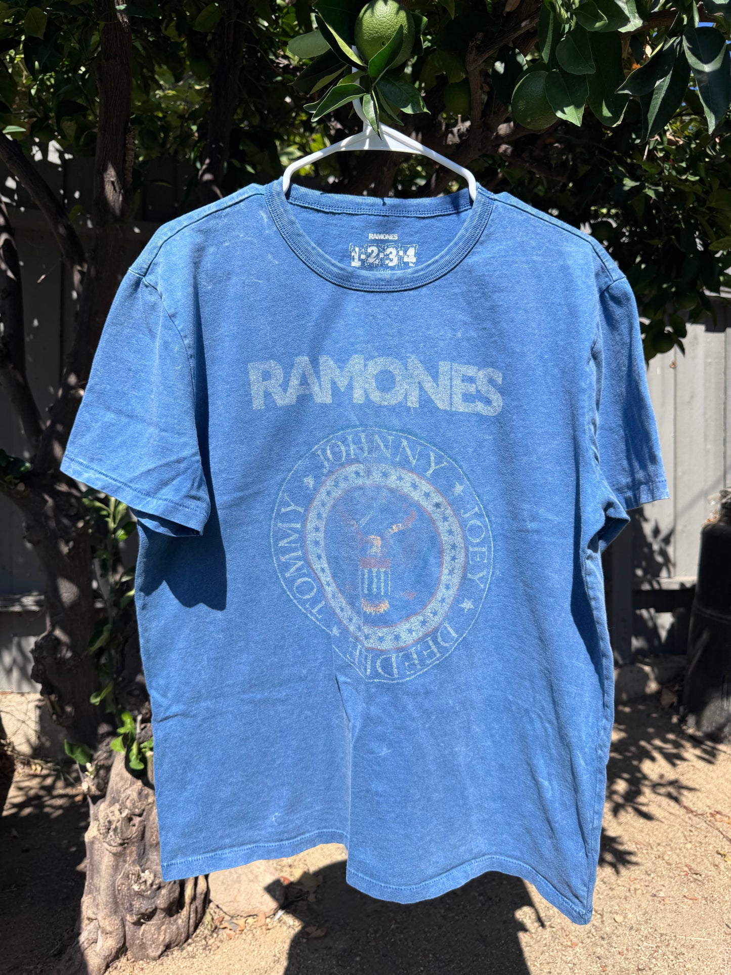 Vtg 90’s Ramones Single Stitch Punk Rock Band Tee Sz Large