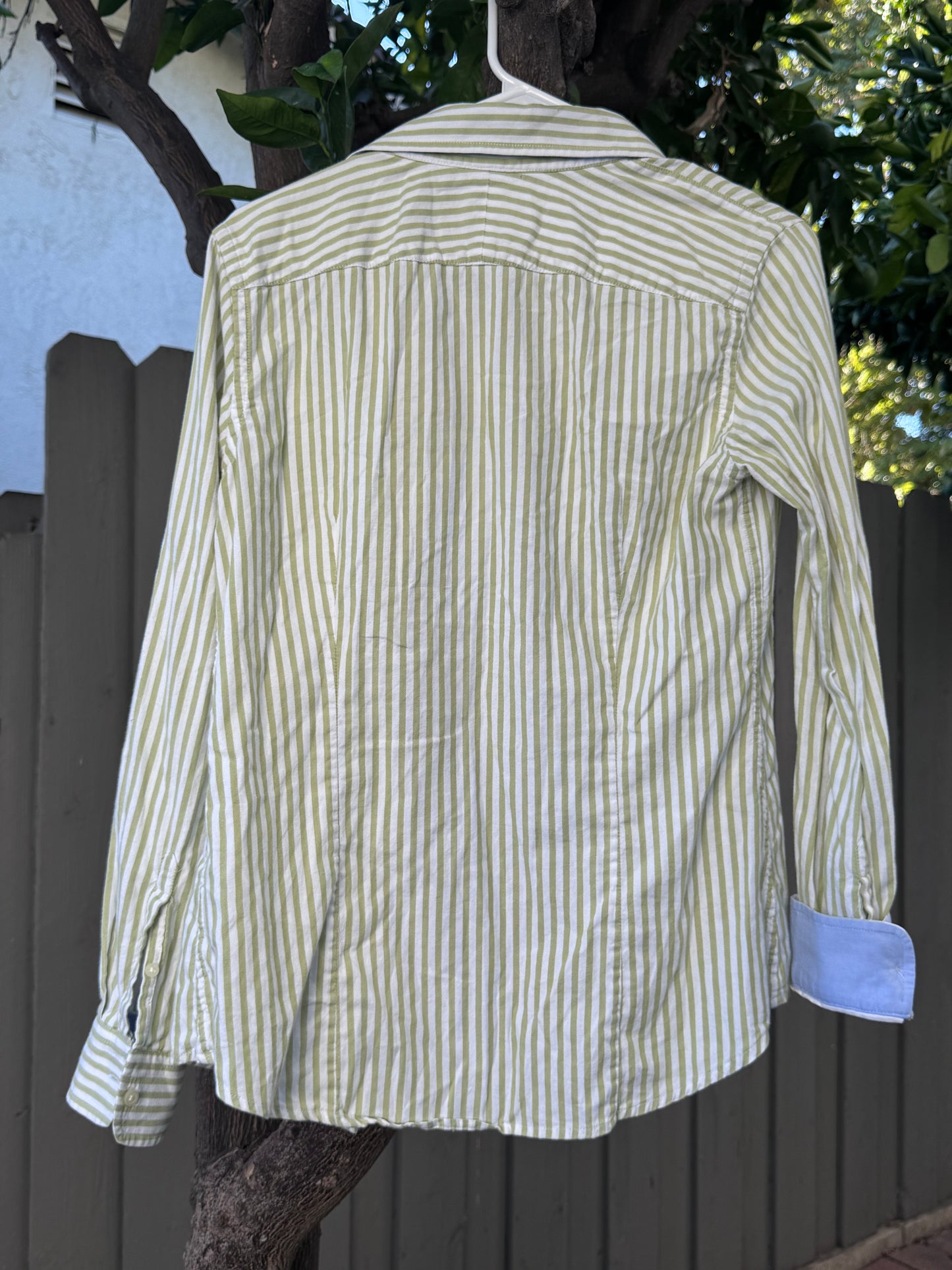 Banana Republic Oxford Green & White Striped Shirt Sz S